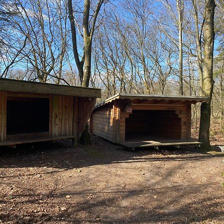 Krogager Primitiv Camping - Krogen Grindsted Zewnętrze zdjęcie